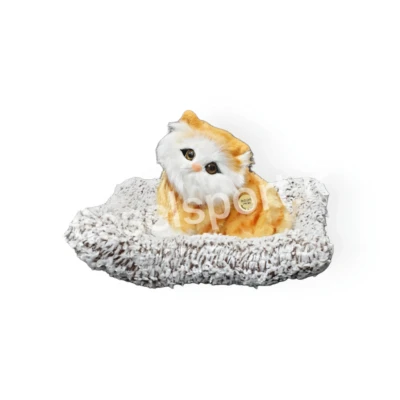 گربه روی داشبورد