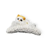 گربه روی داشبورد